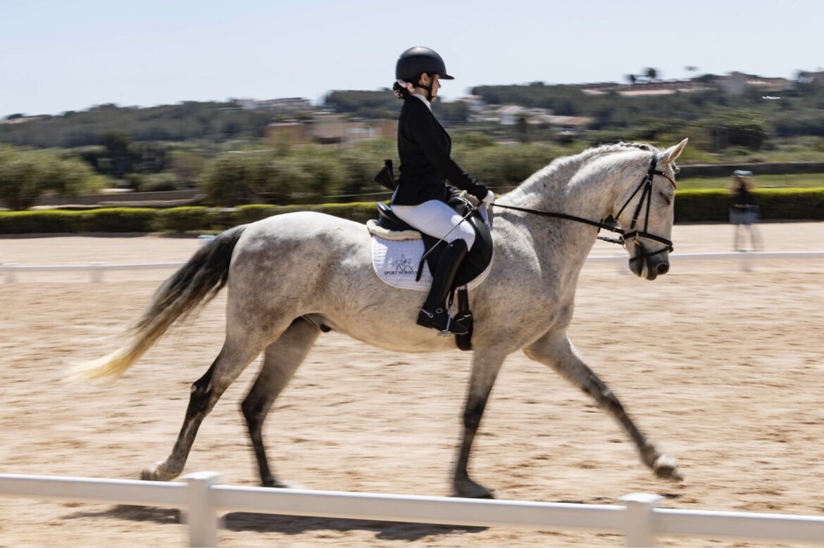 Fotografía con técnica de barrido de un jinete y su caballo en competición de doma clásica, capturando el movimiento y la conexión emocional
